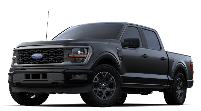 2024 Ford F-150 Vehicle Photo in Weatherford, TX 76087-8771